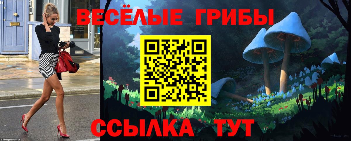 Псилоцибиновые грибы Magic Shrooms  Псилоцибиновые грибы ЛСД  Гулькевичи  Вход с VPN 